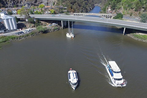 2.5 Hour Afternoon Discovery Cruise Including Cataract Gorge Departs At 1: 30 Pm - Find Attractions 5