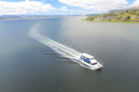 2.5 Hour Afternoon Discovery Cruise Including Cataract Gorge Departs At 1: 30 Pm - Find Attractions 6