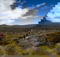 6-Day Overland Track PhotoTour - Find Attractions