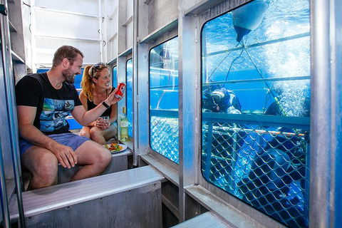 White Shark Tour With Optional Cage Dive From Port Lincoln - Find Attractions 4