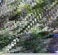 Self-Guided Waterfall Gully to Mount Lofty Hike from Adelaide - Find Attractions