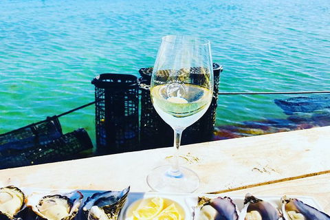 Coffin Bay Oyster Farm & Tasting Tour - Find Attractions 11