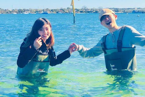 Coffin Bay Oyster Farm & Tasting Tour - Find Attractions 4
