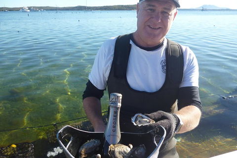 Coffin Bay Oyster Farm & Tasting Tour - Find Attractions 2
