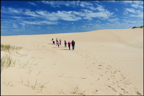 Coorong National Park Wildlife Cruise From Goolwa - Find Attractions 3