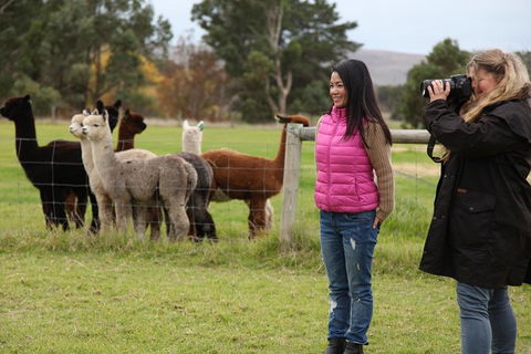 Alpaca Farm 2 Hour Tour - Find Attractions 1