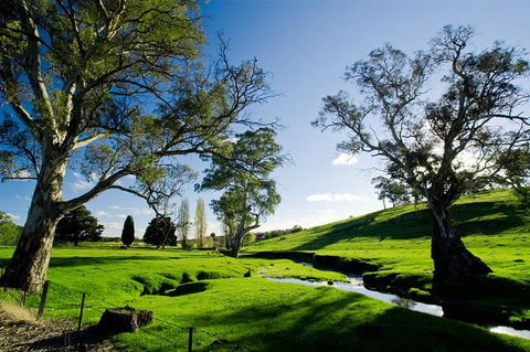 Adelaide Highlights And Hahndorf Tour With Optional River Cruise - Find Attractions 0