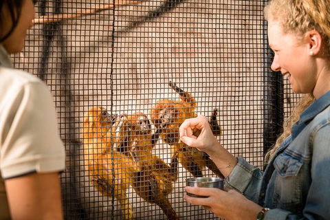 Adelaide Zoo Behind The Scenes Experience: Meet The Primates - Find Attractions 0