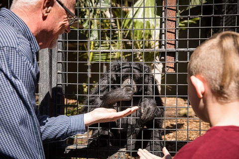 Adelaide Zoo Behind The Scenes Experience: Meet The Primates - Find Attractions 1