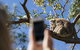 Exceptional Port Lincoln, Seafood And Wildlife Tour - thumb 0