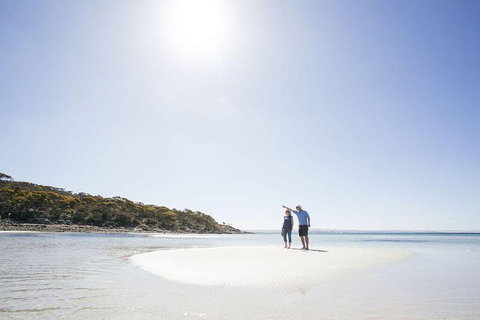 Exceptional Port Lincoln, Seafood And Wildlife Tour - Find Attractions 1