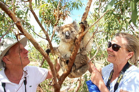Exceptional Port Lincoln, Seafood And Wildlife Tour - Find Attractions 6