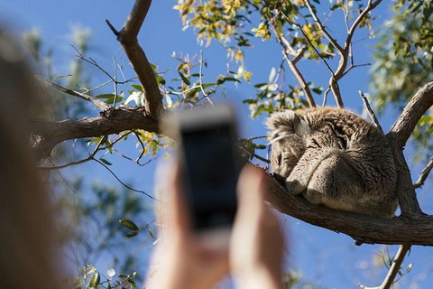Exceptional Port Lincoln, Seafood And Wildlife Tour - Find Attractions 2
