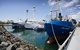 Exceptional Port Lincoln, Seafood And Wildlife Tour - thumb 8