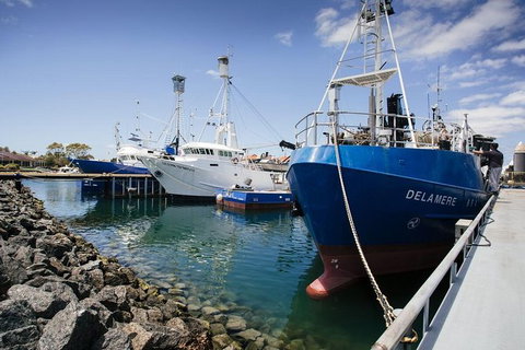 Exceptional Port Lincoln, Seafood And Wildlife Tour - Find Attractions 8