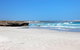 Exceptional Port Lincoln, Seafood And Wildlife Tour - thumb 4