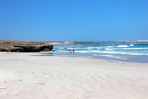 Exceptional Port Lincoln, Seafood And Wildlife Tour - Find Attractions 4