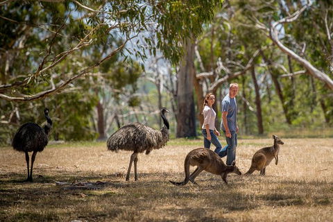 Cleland Wildlife Park Tour From Adelaide Including Mount Lofty Summit - Find Attractions 5