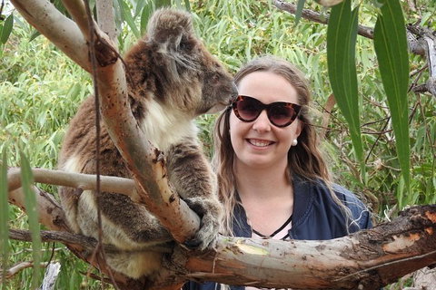 One Day Port Lincoln Tour - Tasting Eyre - Find Attractions 0