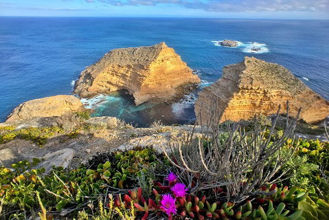 One Day Port Lincoln Tour - Tasting Eyre - Find Attractions 13
