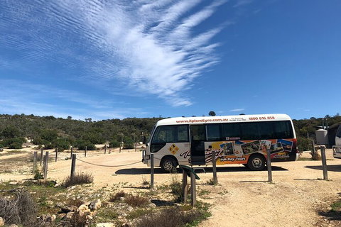 One Day Port Lincoln Tour - Tasting Eyre - Find Attractions 9
