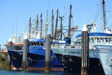 One Day Port Lincoln Tour - Tasting Eyre - Find Attractions 8
