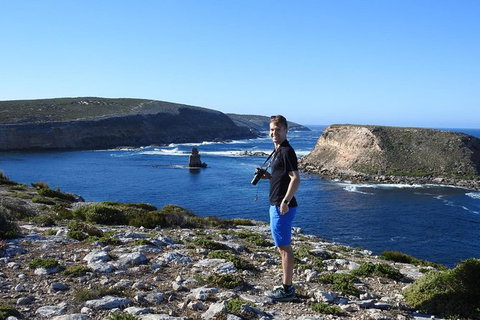 One Day Port Lincoln Tour - Tasting Eyre - Find Attractions 11