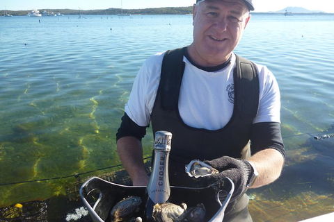 Oyster Farm And Tasting Tour With Hotel Pick-up And Return From Port Lincoln - Find Attractions 2