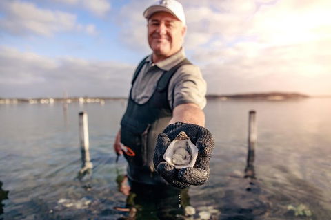 Oyster Farm And Tasting Tour With Hotel Pick-up And Return From Port Lincoln - Find Attractions 3