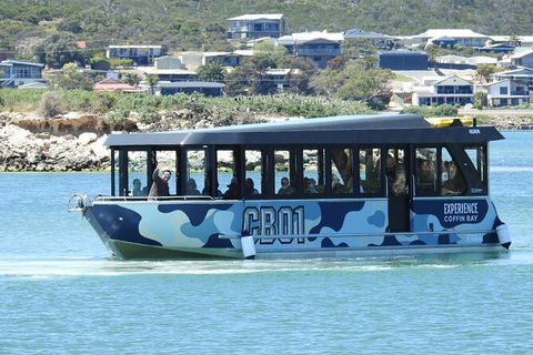 Experience Coffin Bay Short And Sweet Oyster Farm Tour - Find Attractions 9