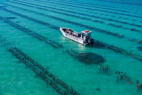 Experience Coffin Bay Short And Sweet Oyster Farm Tour - Find Attractions 7