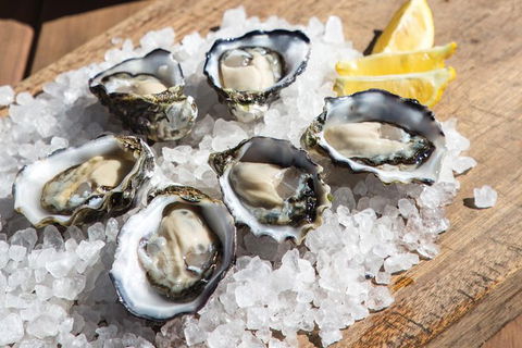 Experience Coffin Bay Short And Sweet Oyster Farm Tour - Find Attractions 3