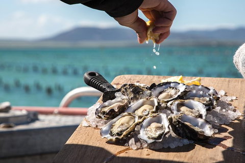 Experience Coffin Bay Oyster Farm And Bay Tour - Find Attractions 0