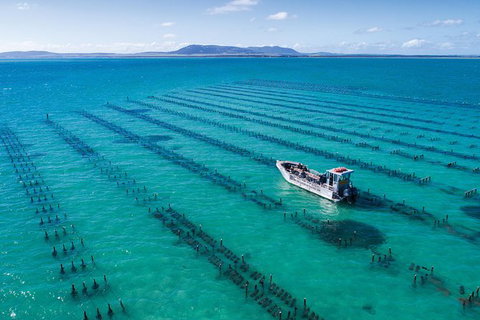 Experience Coffin Bay Oyster Farm And Bay Tour - Find Attractions 1