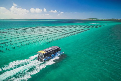 Experience Coffin Bay Oyster Farm And Bay Tour - Find Attractions 2