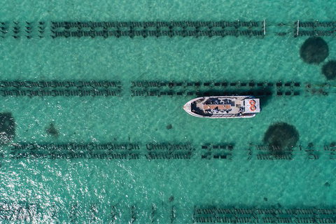 Experience Coffin Bay Oyster Farm And Bay Tour - Find Attractions 4