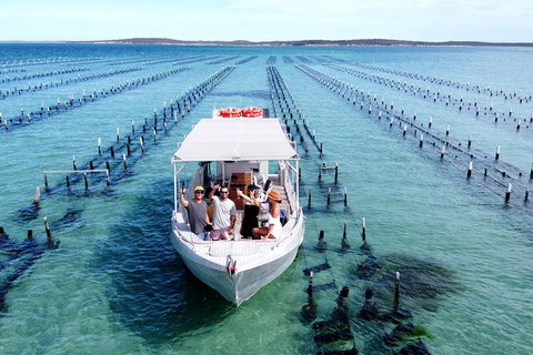 Experience Coffin Bay Oyster Farm And Bay Tour - Find Attractions 12