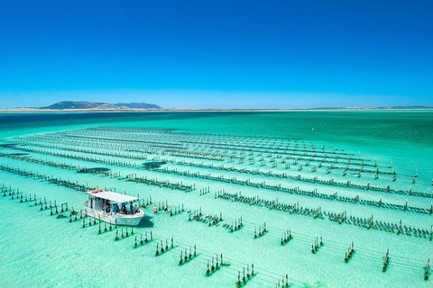 Experience Coffin Bay Oyster Farm And Bay Tour - Find Attractions 7