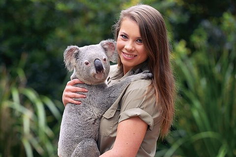 Croc Express To Australia Zoo From Brisbane - Find Attractions 7