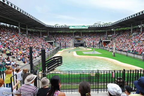 Croc Express To Australia Zoo From Brisbane - Find Attractions 12