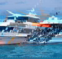 Poseidon Outer Great Barrier Reef Snorkeling and Diving Cruise from Port Douglas - Find Attractions