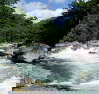 Daintree Rainforest Cape Tribulation Mossman Gorge in a day - Find Attractions