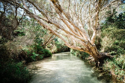 3-Day Fraser Island Resort Package - Find Attractions 11