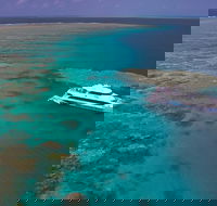 Silversonic Outer Great Barrier Reef Dive and Snorkel Cruise from Port Douglas - Find Attractions