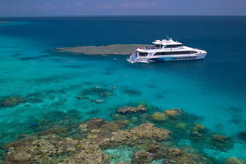 Silversonic Outer Great Barrier Reef Dive And Snorkel Cruise From Port Douglas - Find Attractions 2