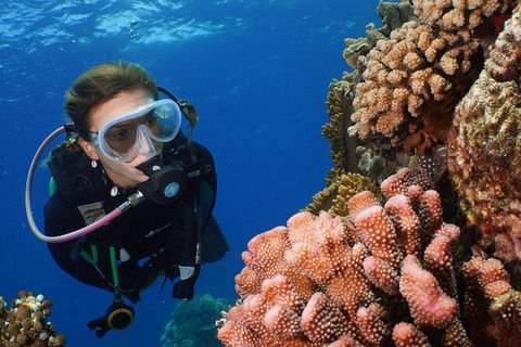 Silversonic Outer Great Barrier Reef Dive And Snorkel Cruise From Port Douglas - Find Attractions 5