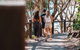 Sunshine Coast Hinterland And Noosa Day Trip From Brisbane Including Eumundi Markets And Ginger Factory - thumb 6