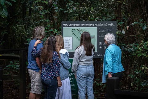 Sunshine Coast Hinterland And Noosa Day Trip From Brisbane Including Eumundi Markets And Ginger Factory - Find Attractions 4