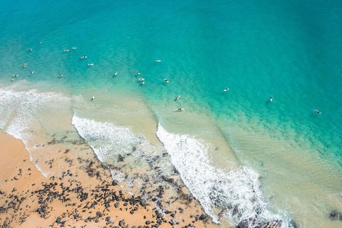 Sunshine Coast Hinterland And Noosa Day Trip From Brisbane Including Eumundi Markets And Ginger Factory - Find Attractions 10