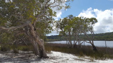 North Stradbroke Island Day Trip From Brisbane - Find Attractions 14